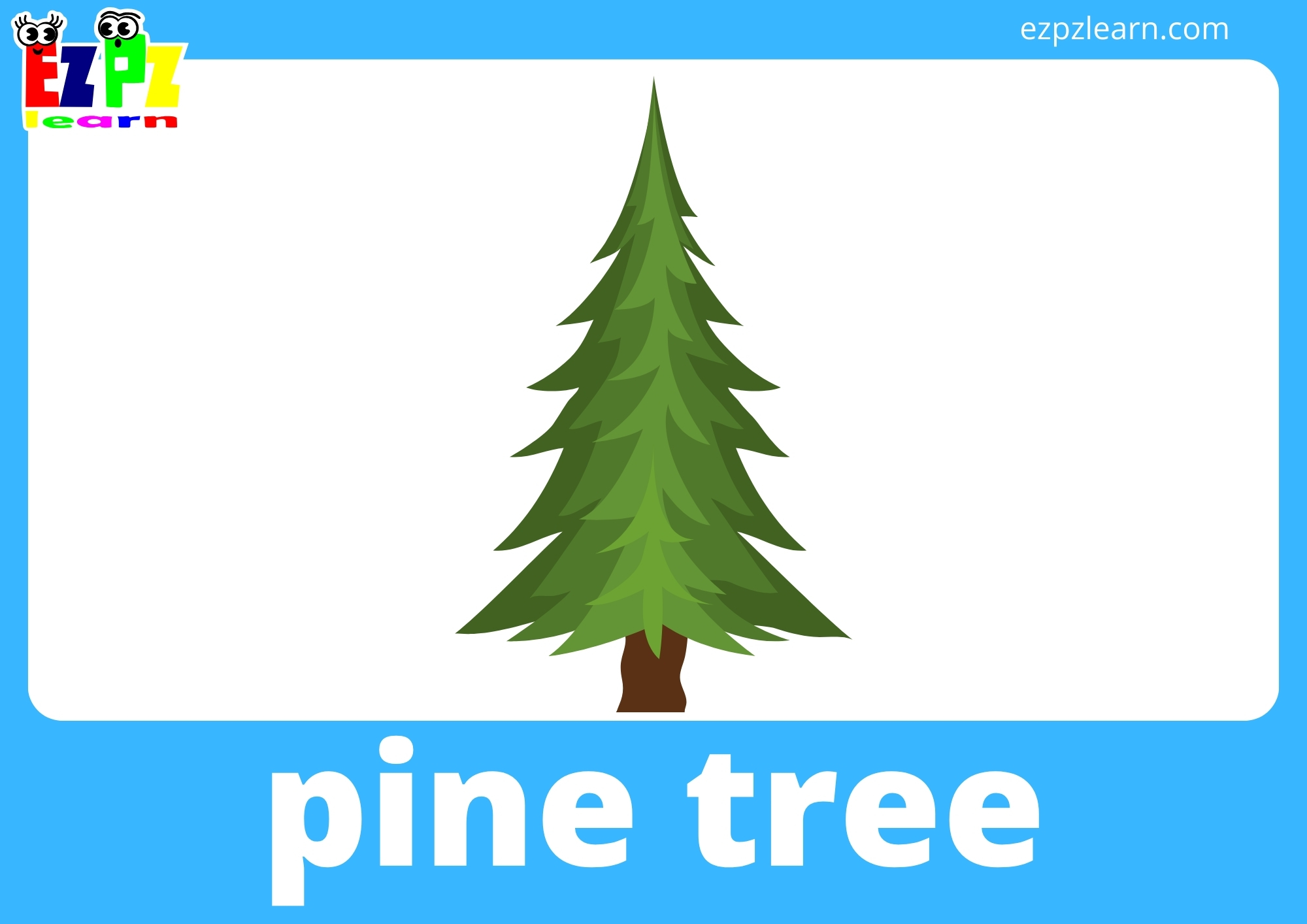 pine tree